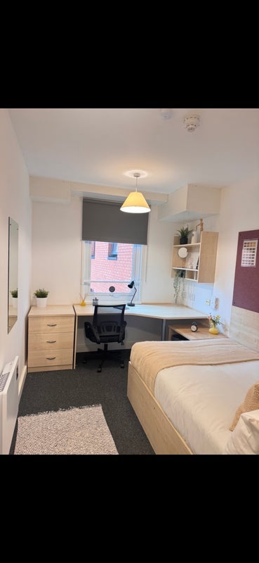 Room Alma Street in Sheffield