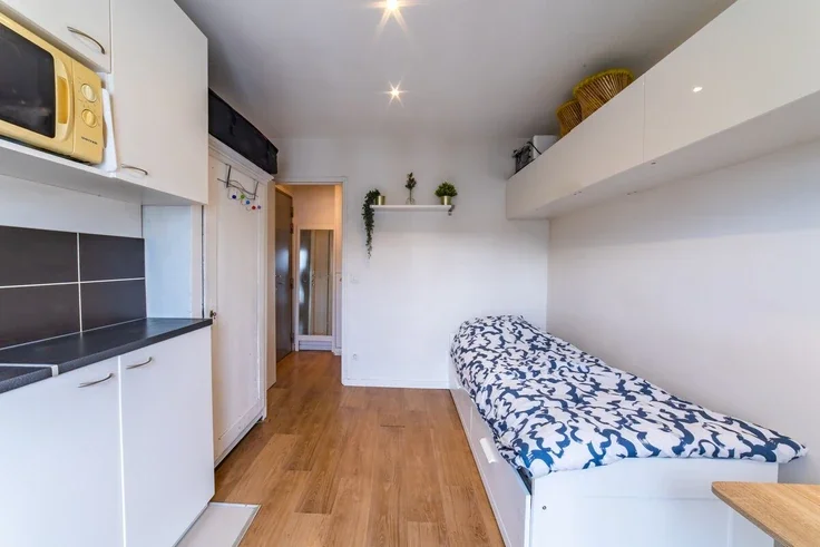 Flat Rue de Montreuil in Paris