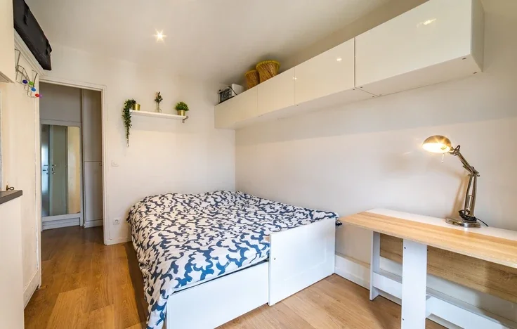 Flat Rue Guénot in Paris