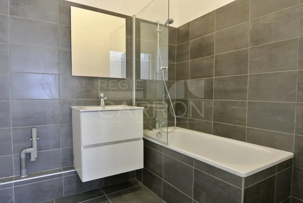 Flat Rue Raulin in Lyon