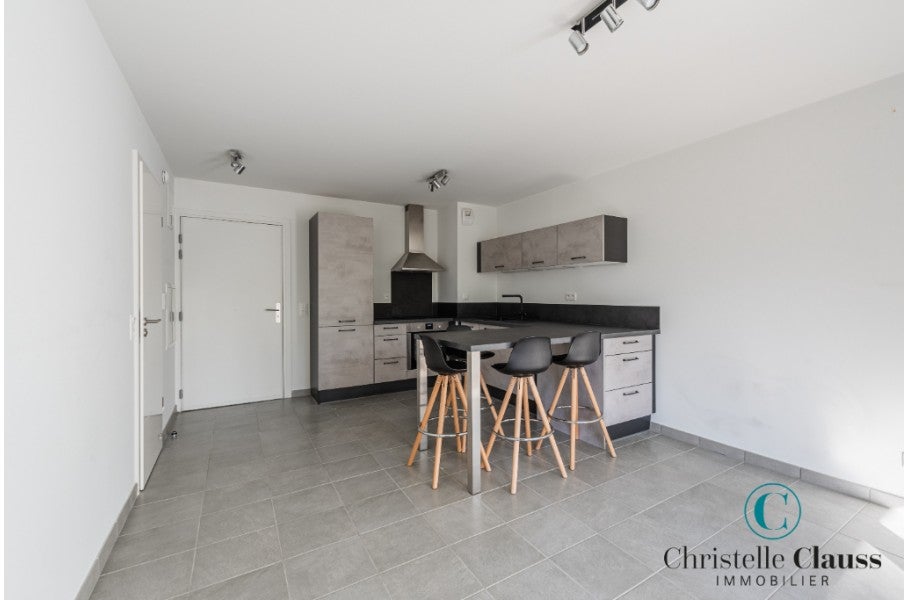 Appartement Rue du Tribunal à Schiltigheim