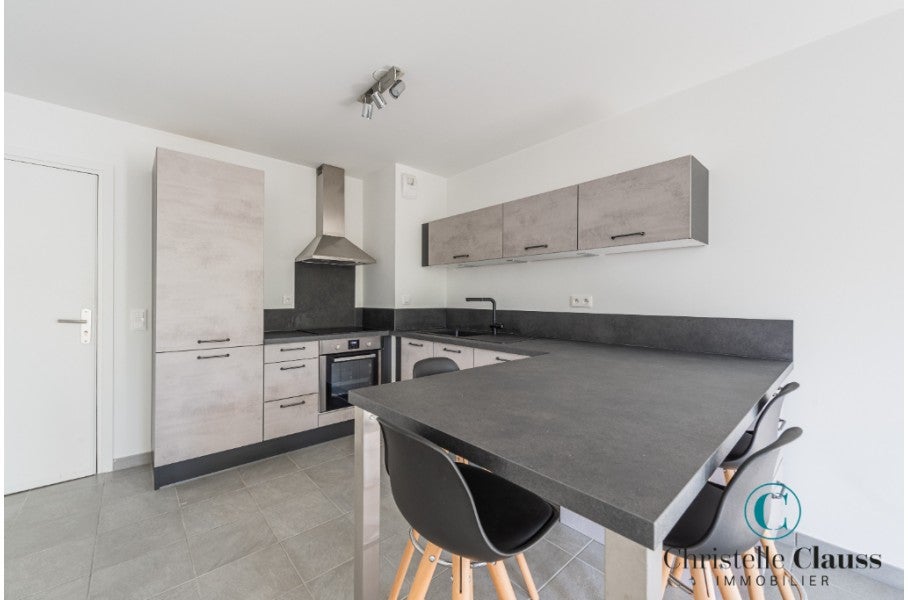 Appartement Rue du Tribunal à Schiltigheim