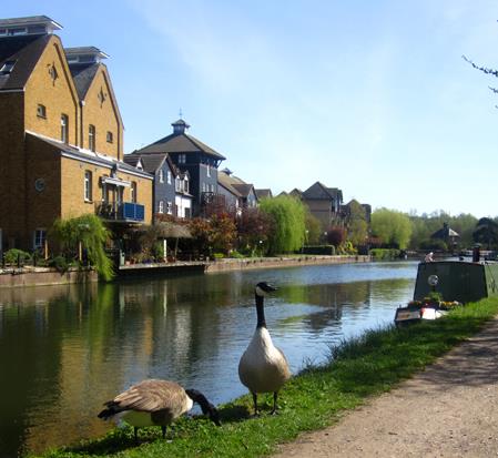 Flat Crane Mead in East Hertfordshire