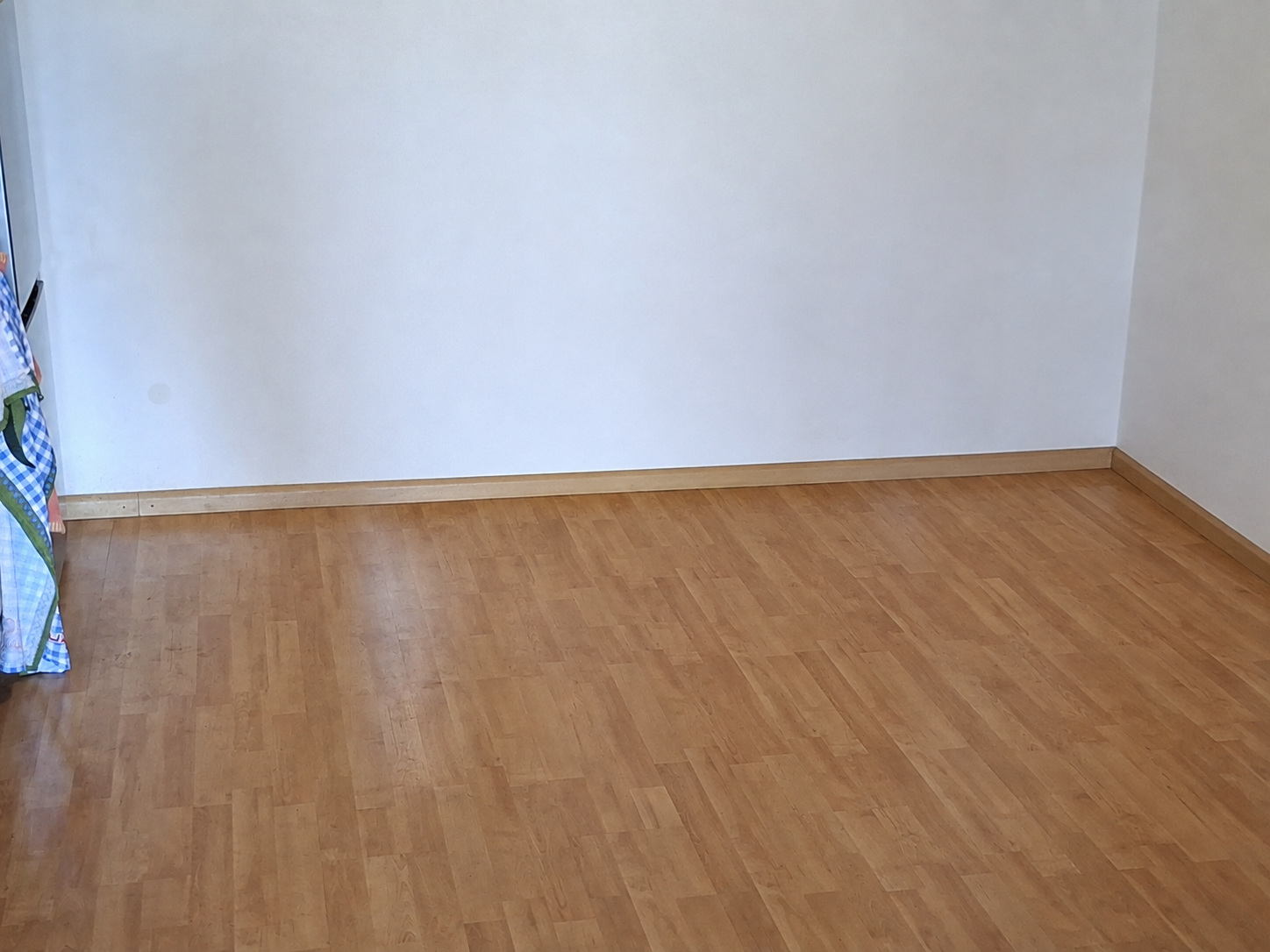 Appartement Pelmolen 66 in Leiden