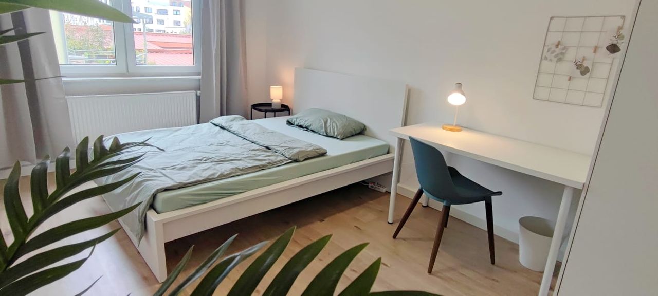 Zimmer Dammstraße in Nürnberg