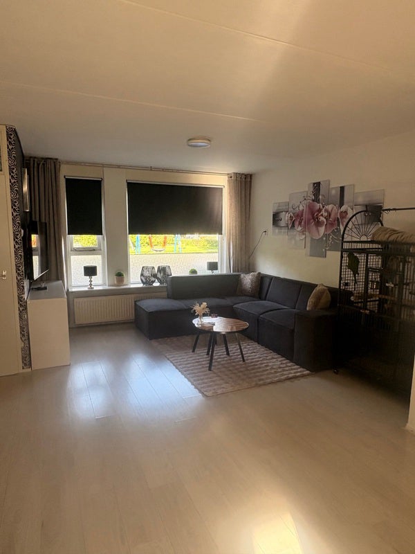 Appartement Nieuweburen 12