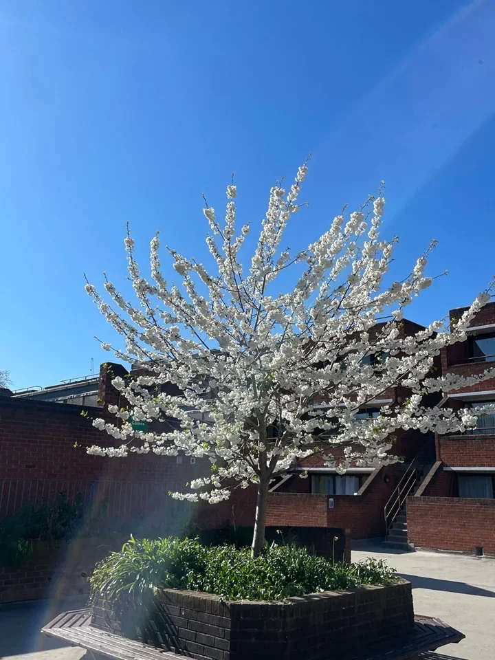 Flat Oakshott Court in Greater London