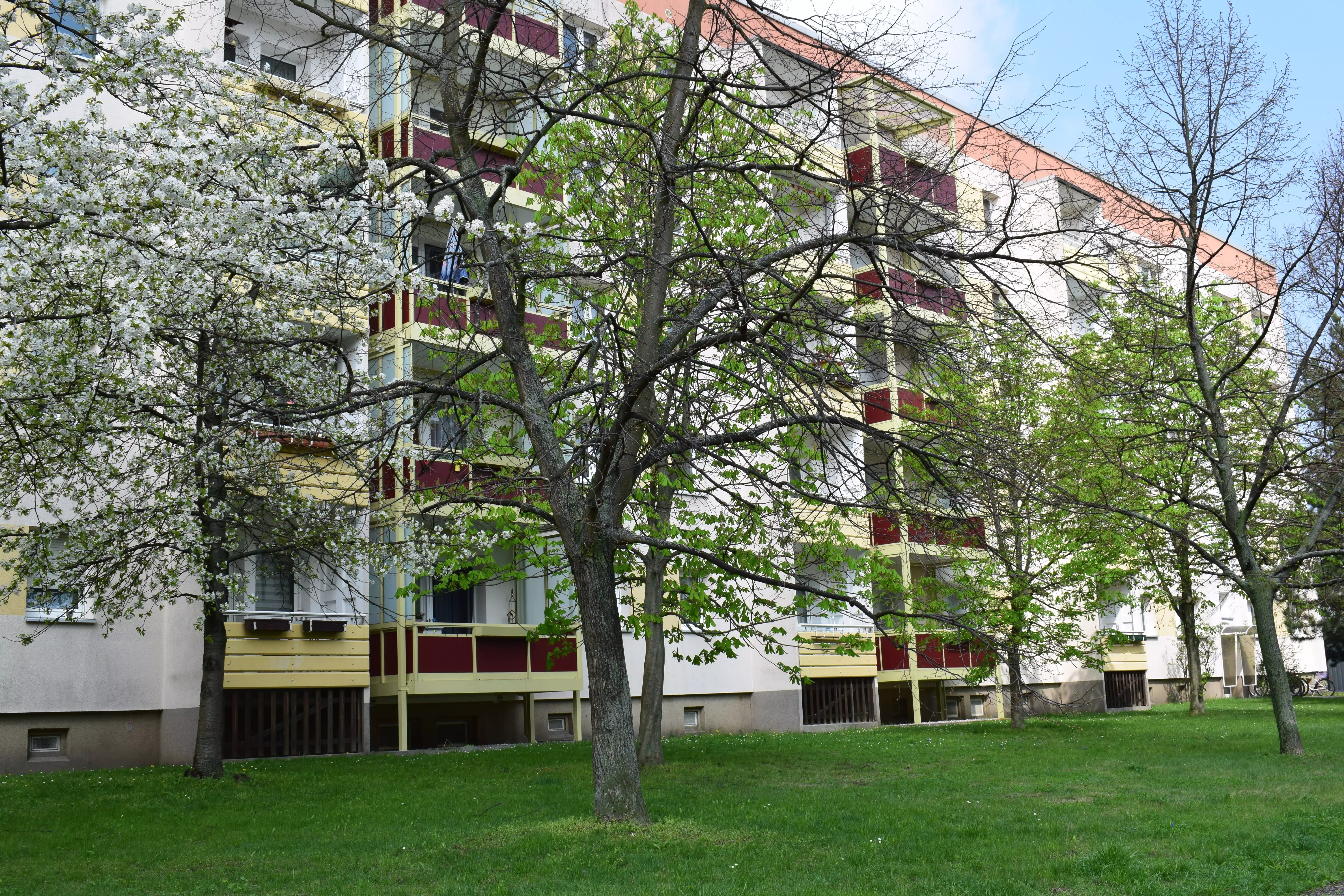 Wohnung Schulstraße in Borna