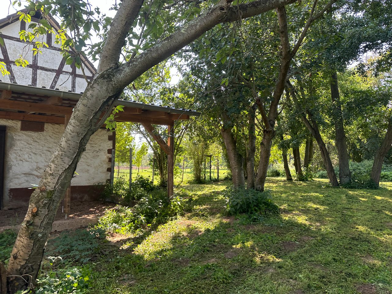 Wohnung Am Kinzigsee in Langenselbold