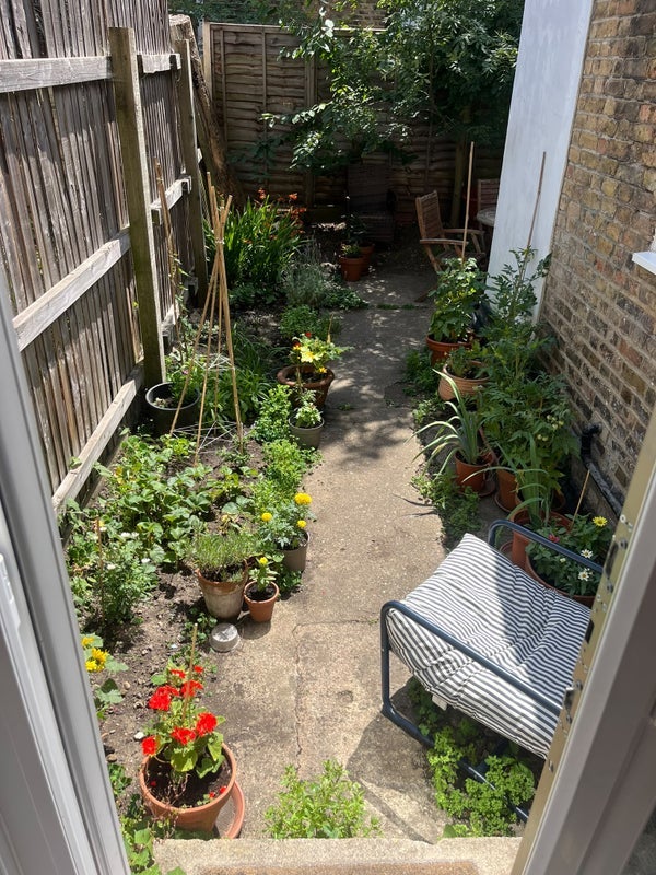 Room Millfields Road in Greater London