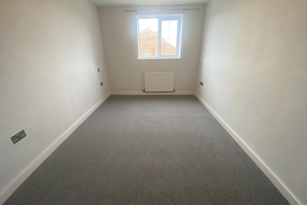 Flat Fir Tree Avenue in Doncaster