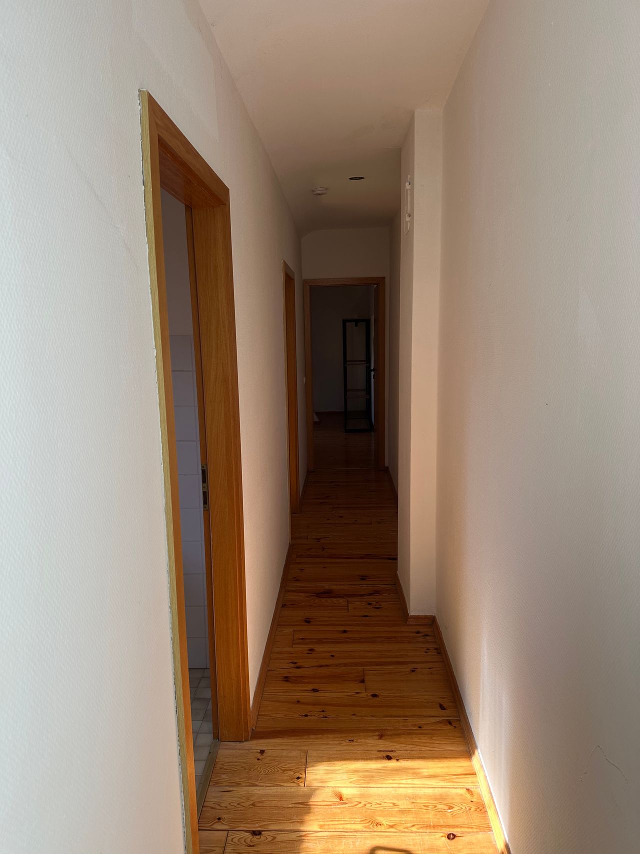 Wohnung Siechenstraße in Bamberg