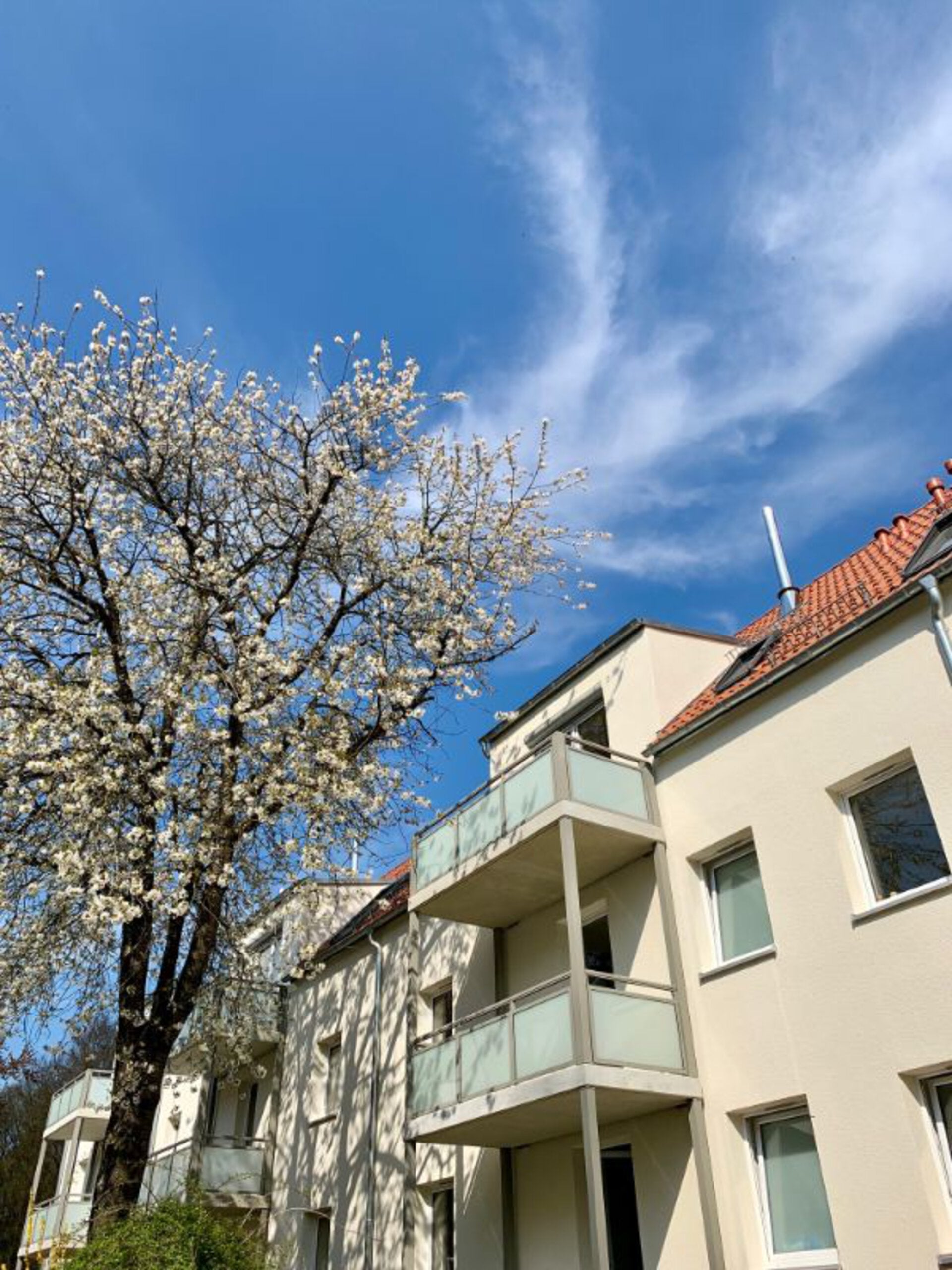 Wohnung Vogelloh in München