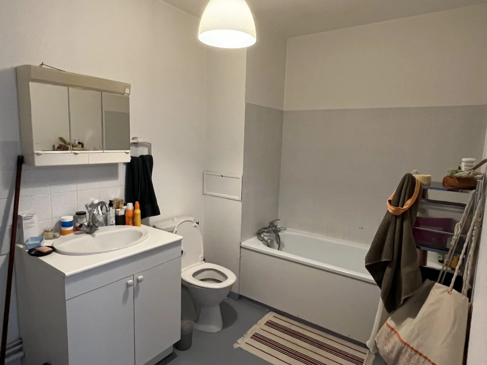 Flat Quai Nicolas Rolin in Dijon