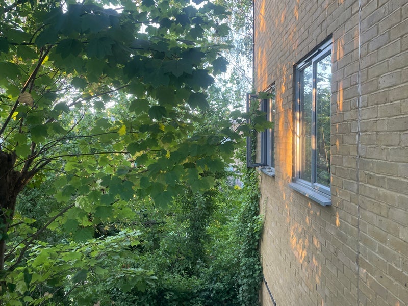 Room Fairbridge Road in Greater London