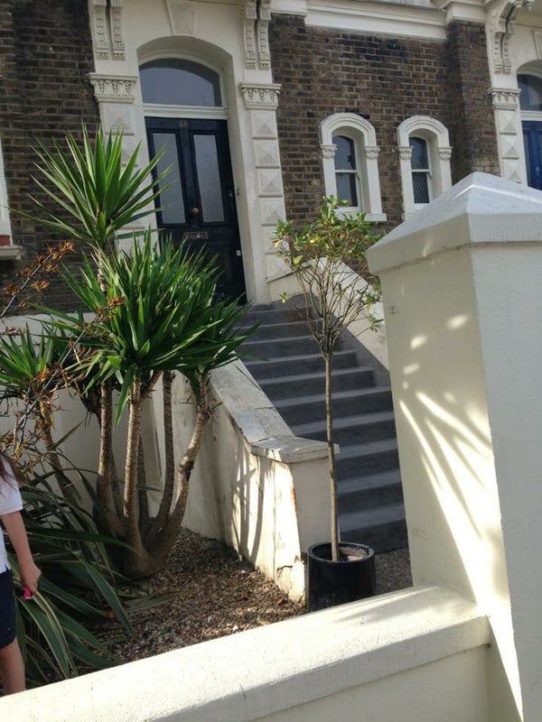 Room Princess Road in Greater London