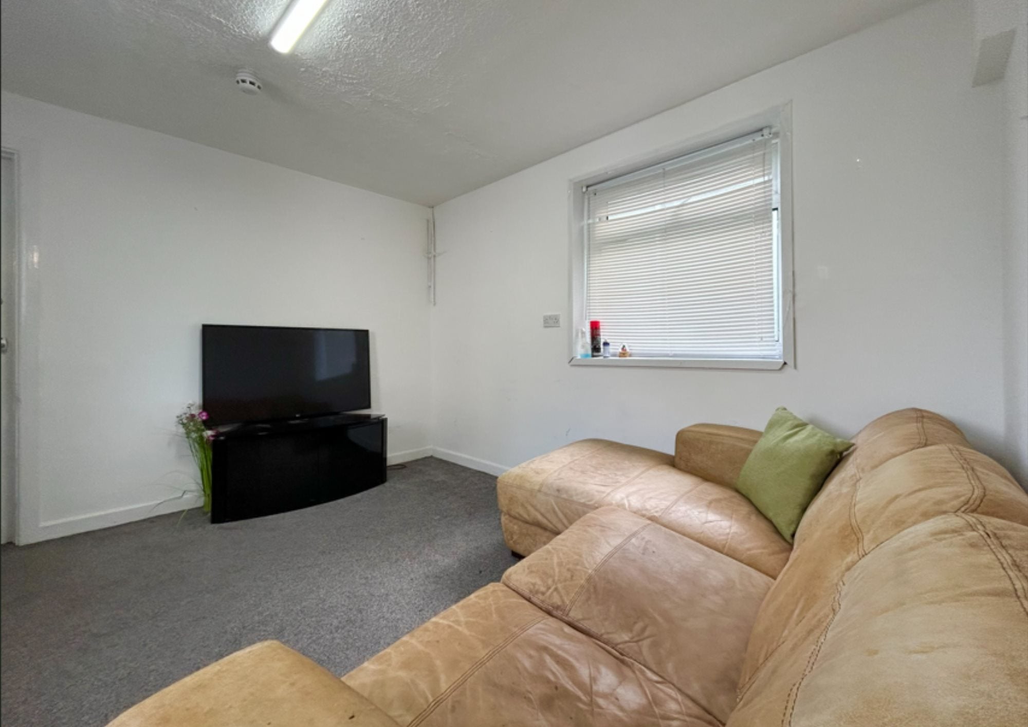 Room Albert Road in Plymouth
