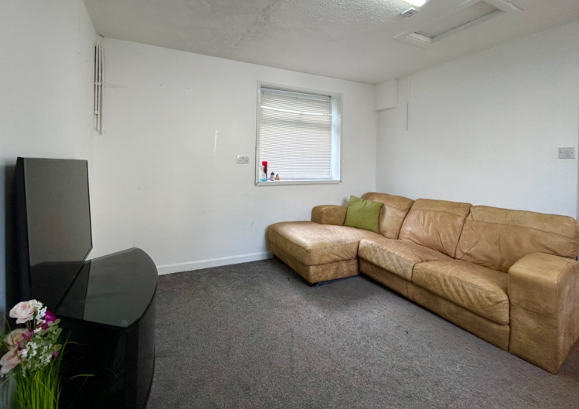 Room Albert Road in Plymouth