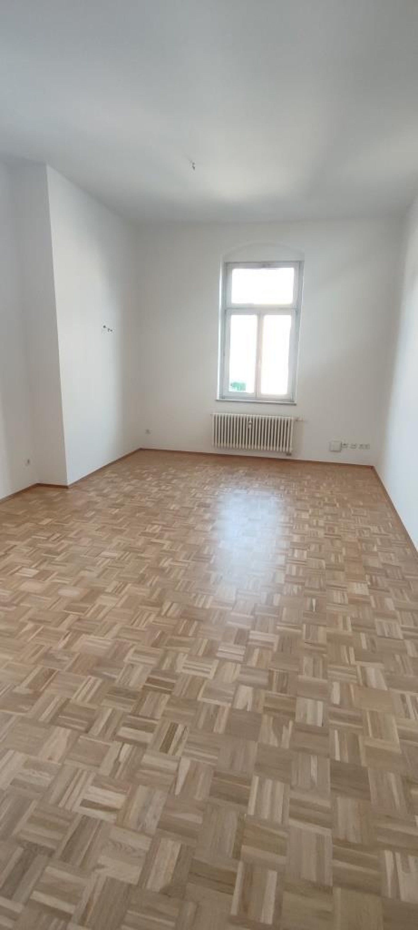 Wohnung Schlüterstraße in Dresden