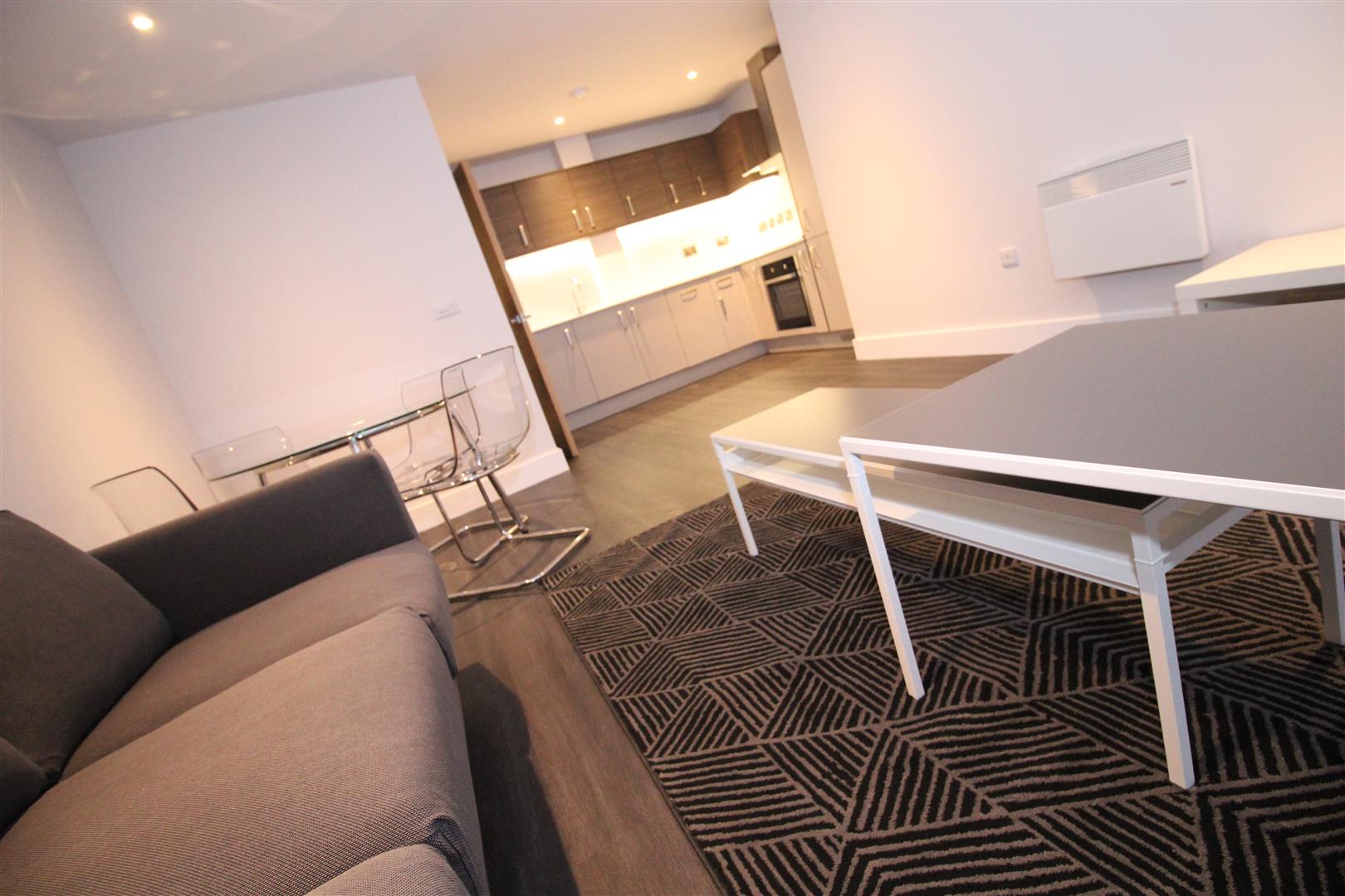 Flat Albion Street in Leicester