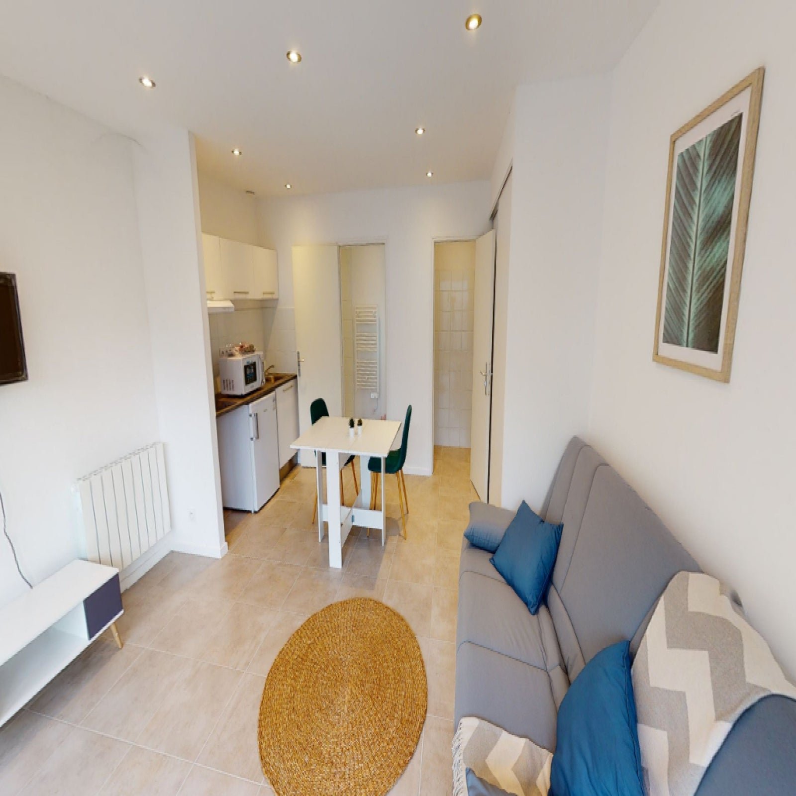 Appartement Rue René à Villeurbanne