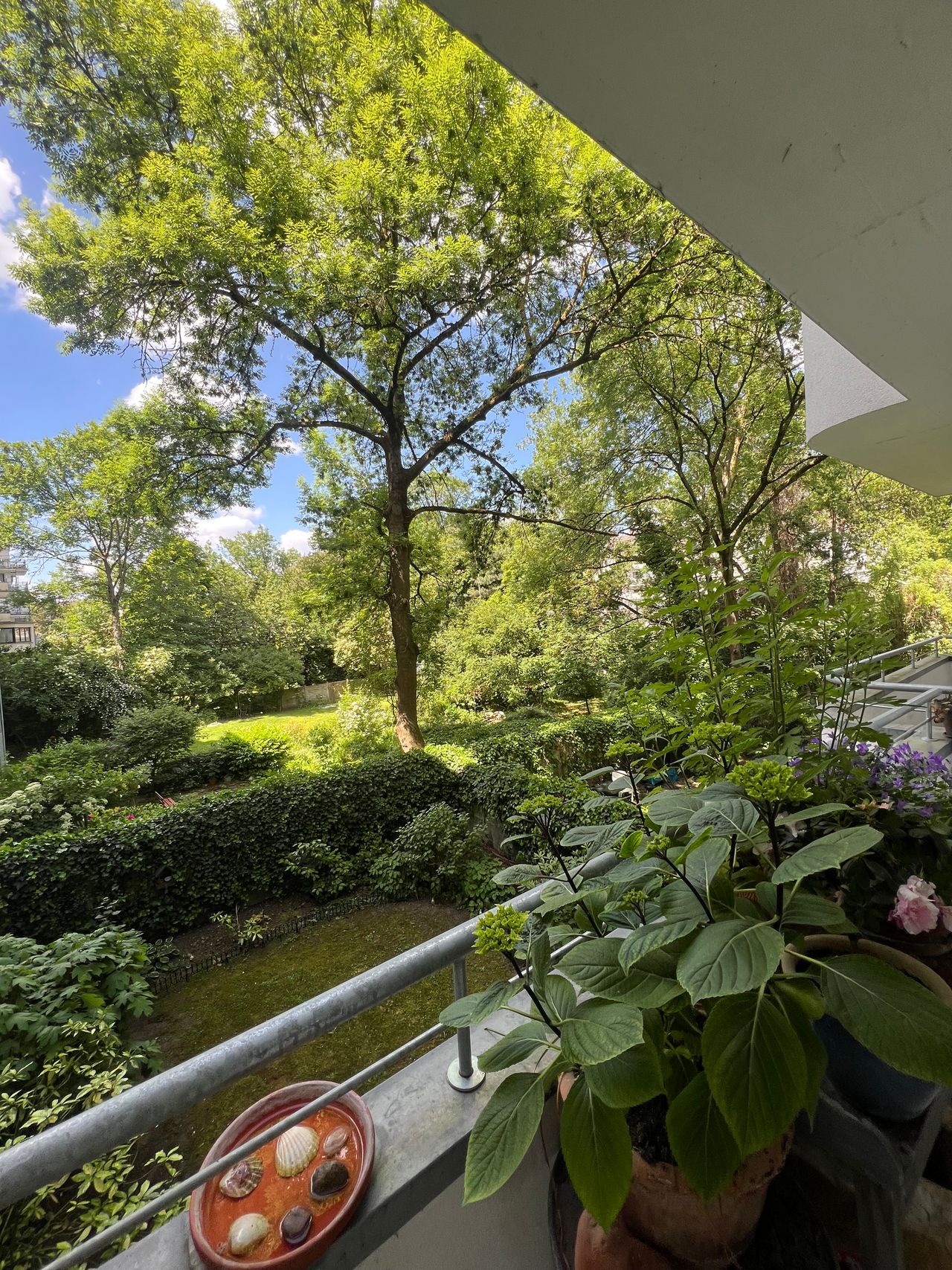 Wohnung Suitbertusstraße in Düsseldorf