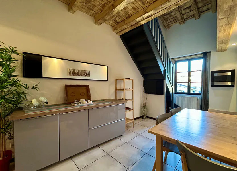 Appartement Rue Joseph Brenier à Vienne