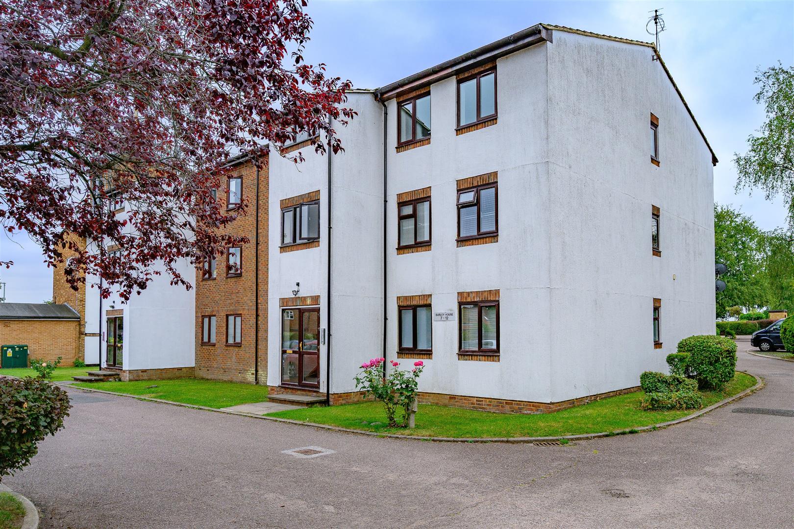 Flat Queens Drive in Three Rivers