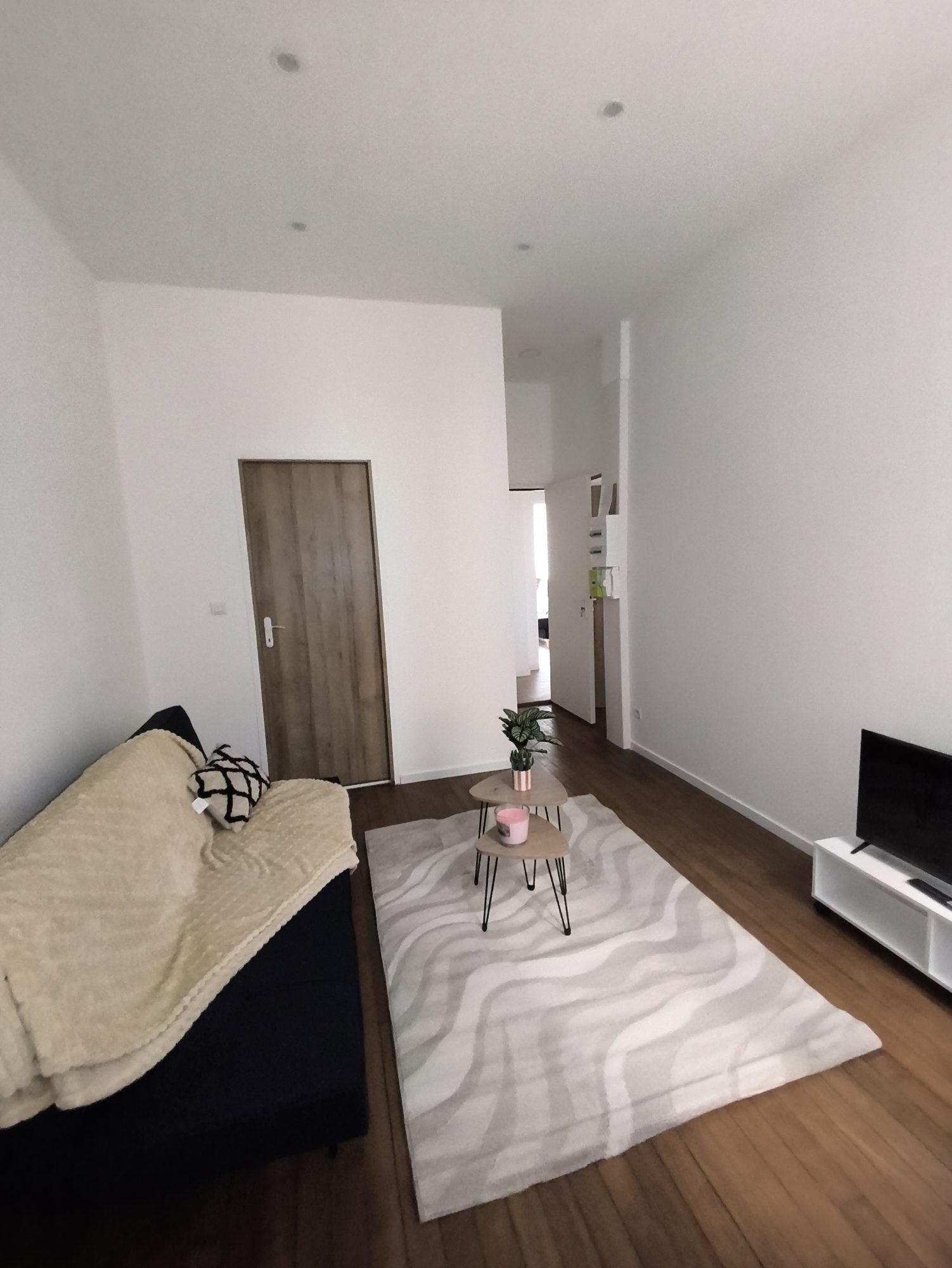 Flat Rue Charles III in Nancy