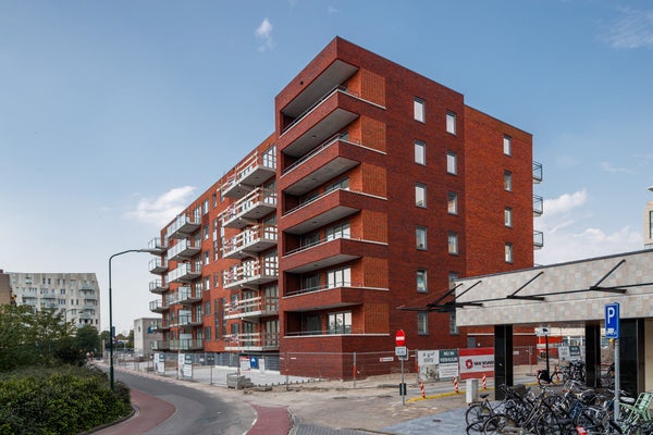 Bisonspoor