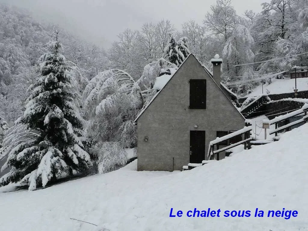 Flat Chemin de buis in Aragnouet