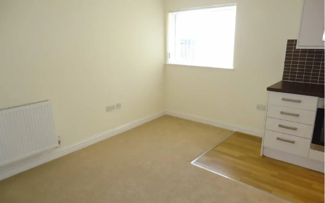 Flat Picton Lane in Swansea