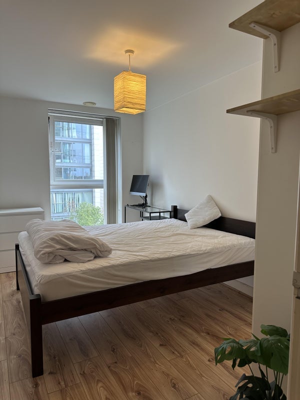 Room Seagull Lane in Greater London