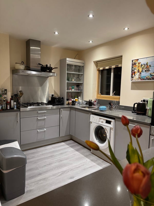 Room Lower Clifton Hill in Bristol