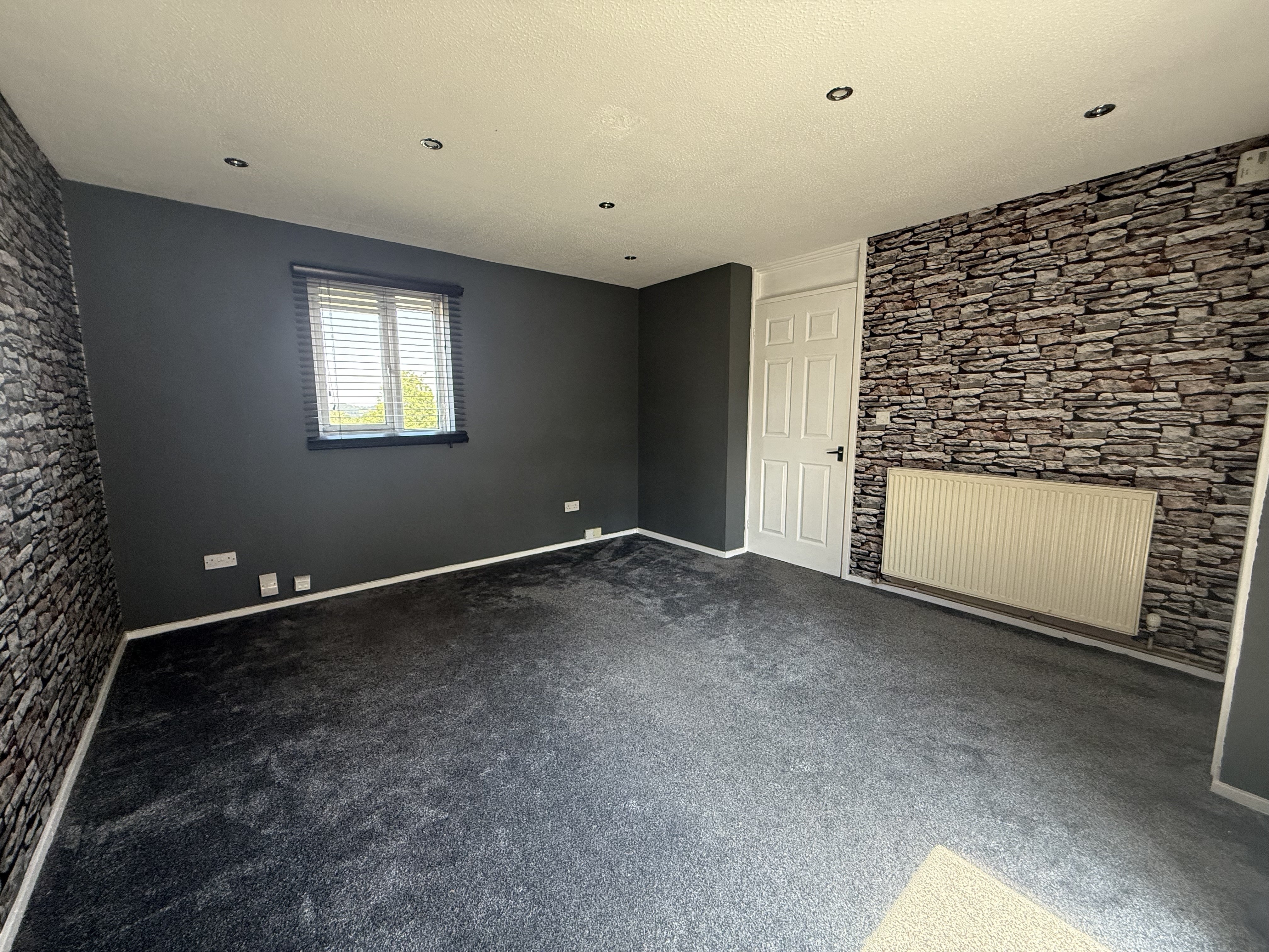 Flat Lindera in Tamworth