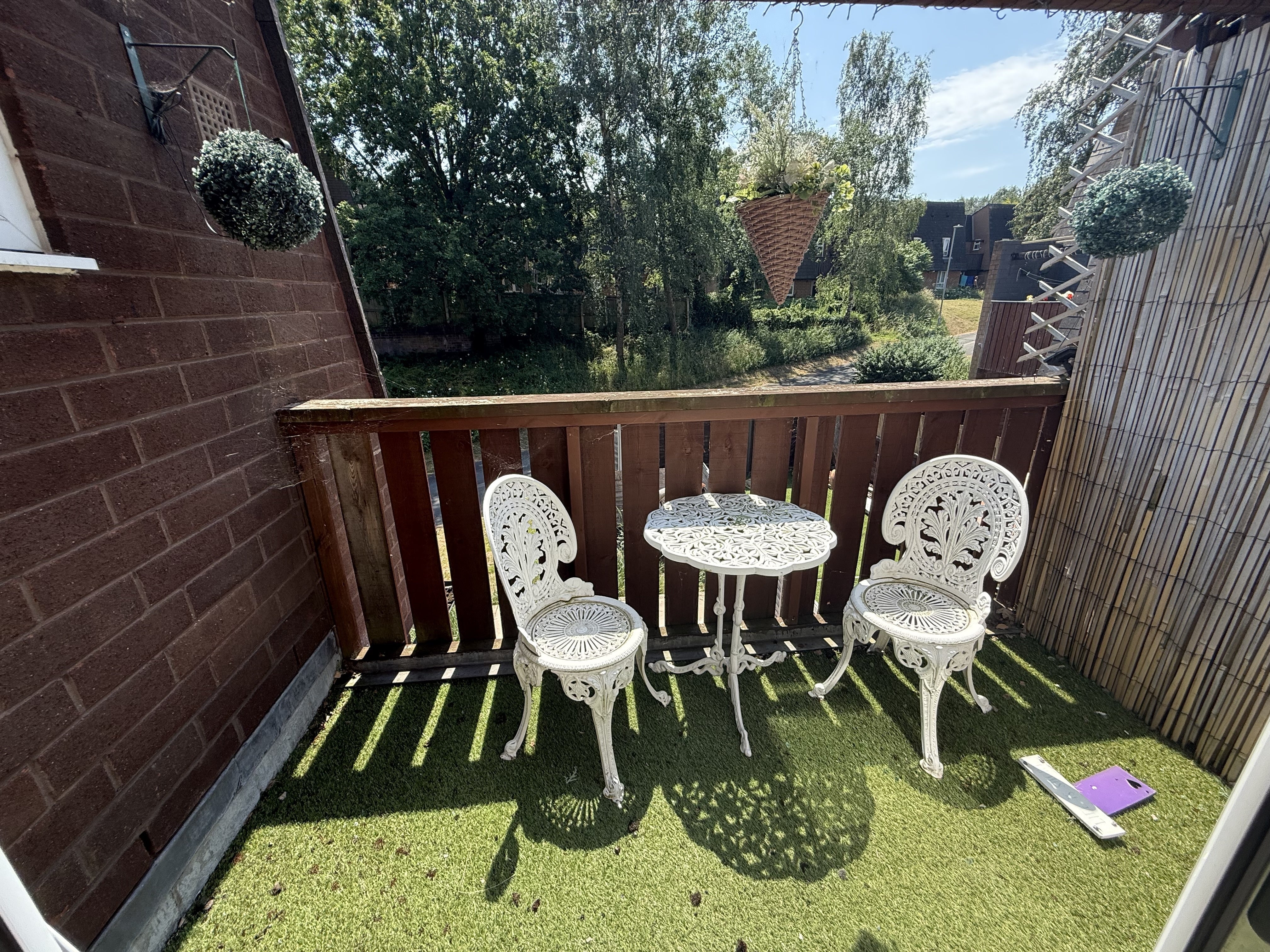 Flat Lindera in Tamworth