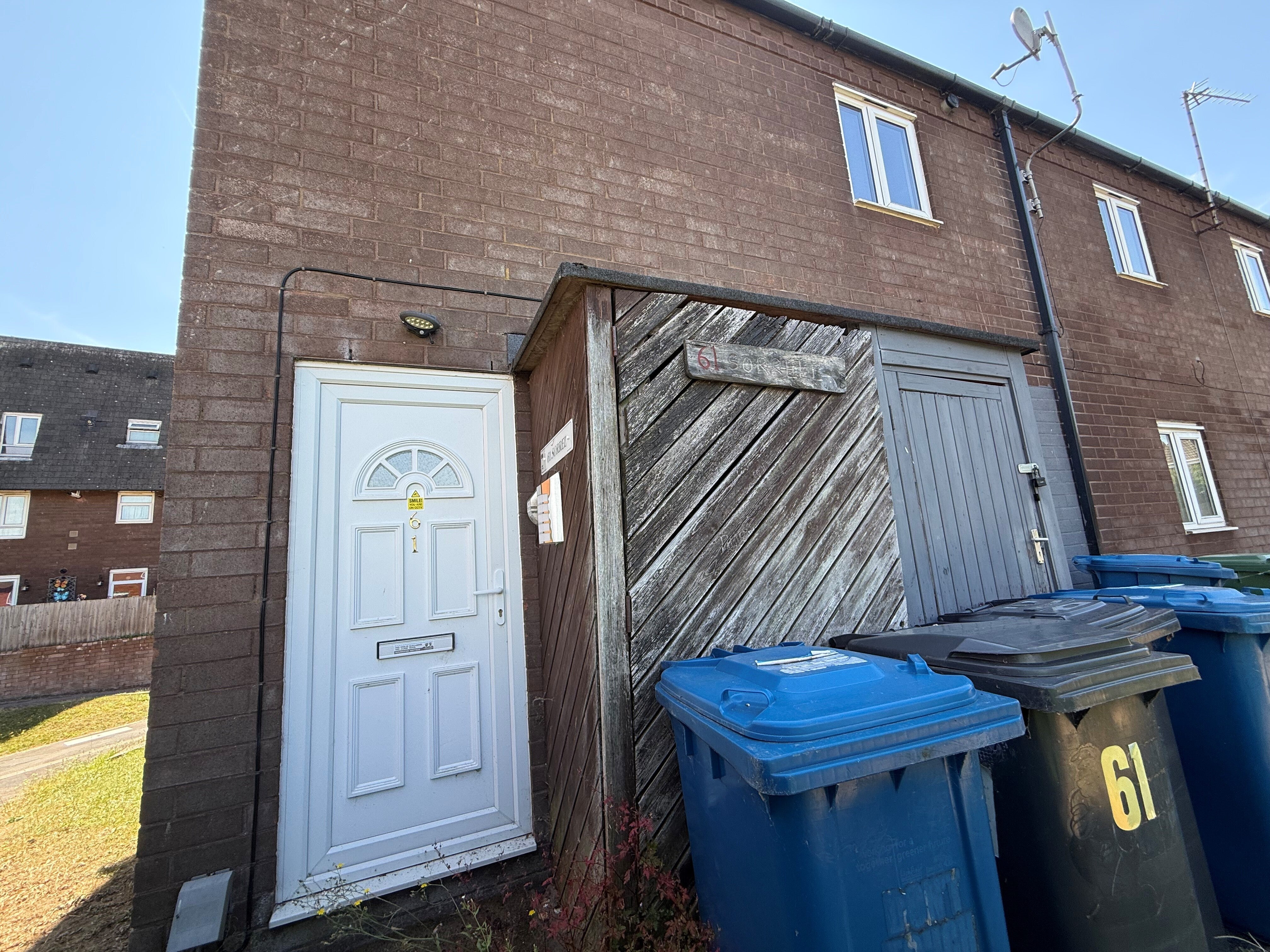 Flat Lindera in Tamworth