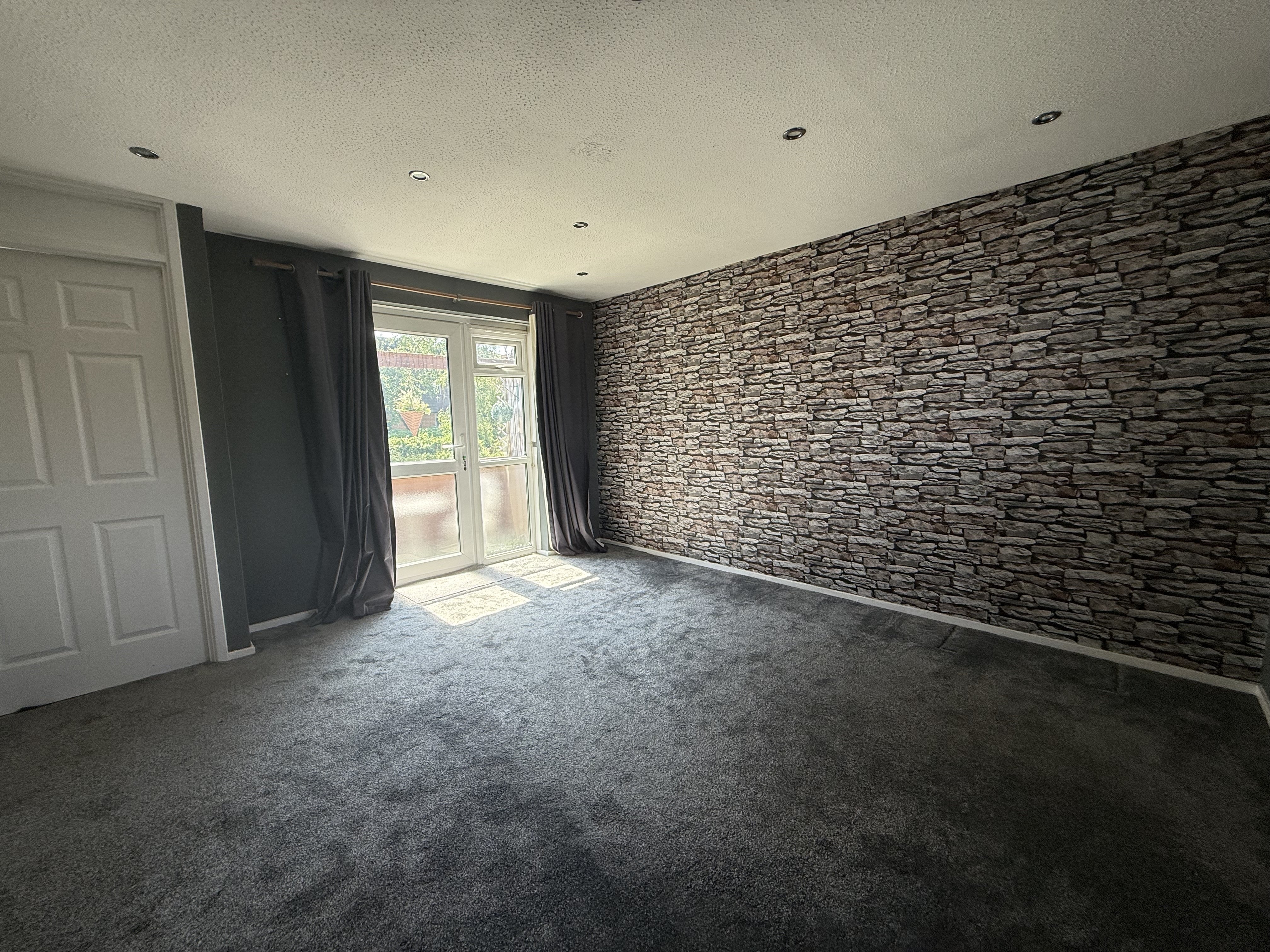 Flat Lindera in Tamworth