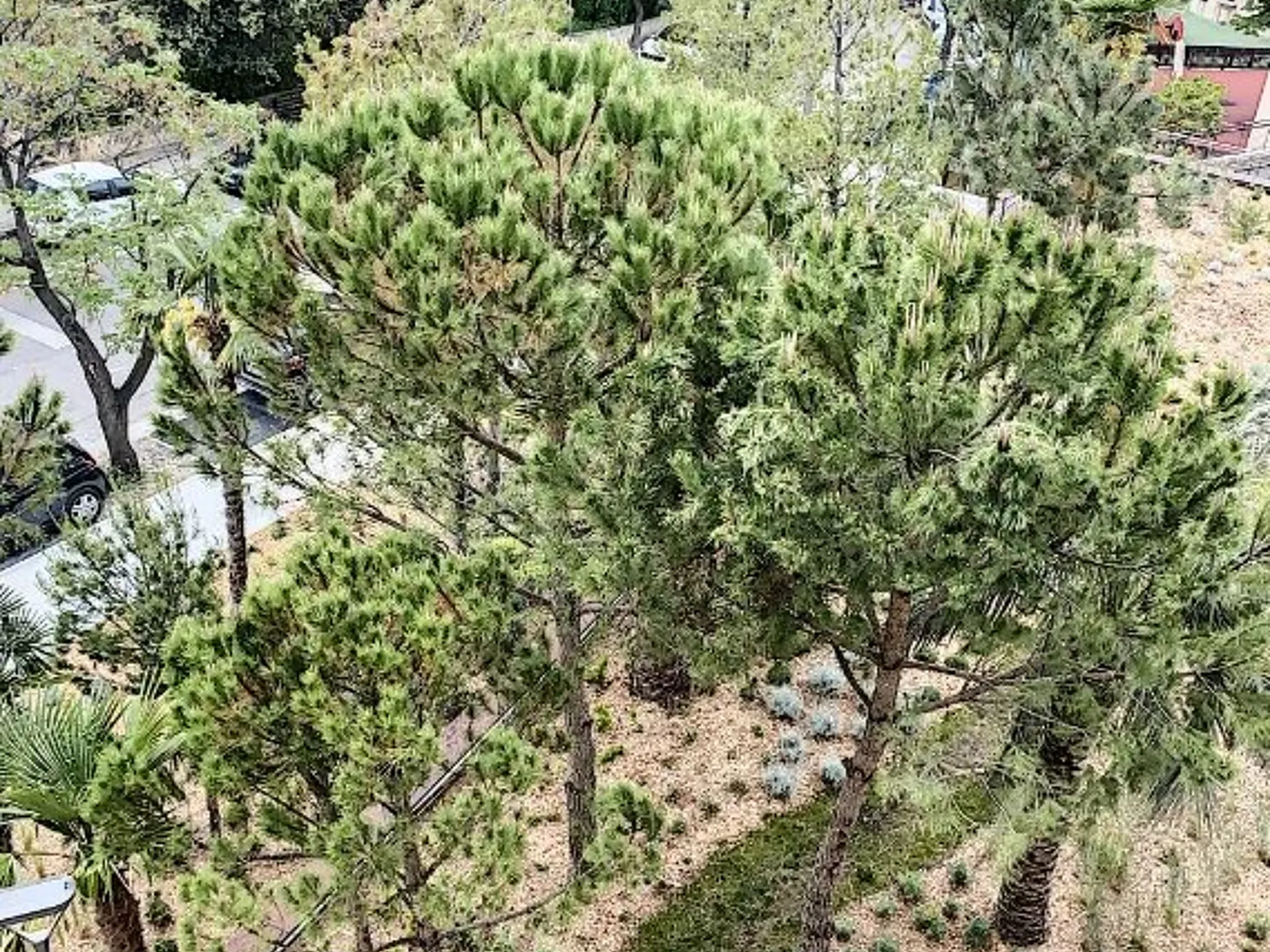 Appartement Boulevard Henri Sappia à Nice