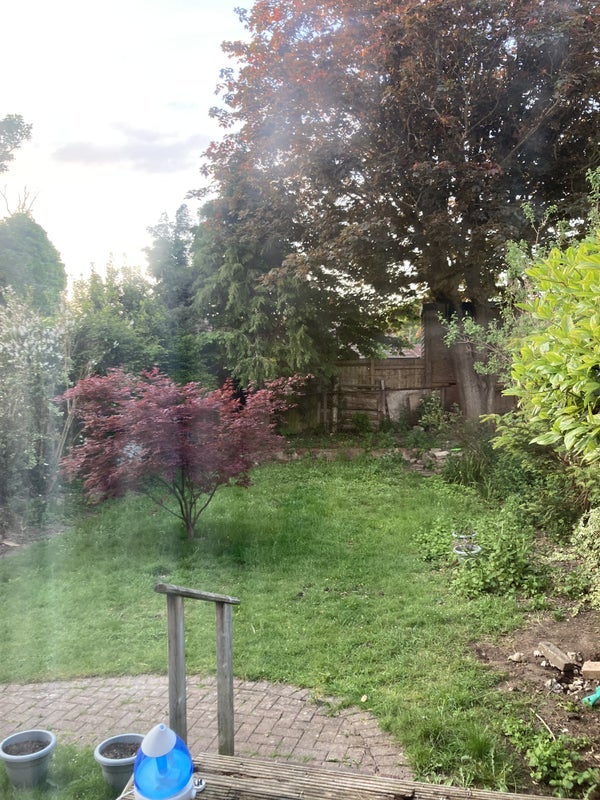 Room Lancing Road in Greater London