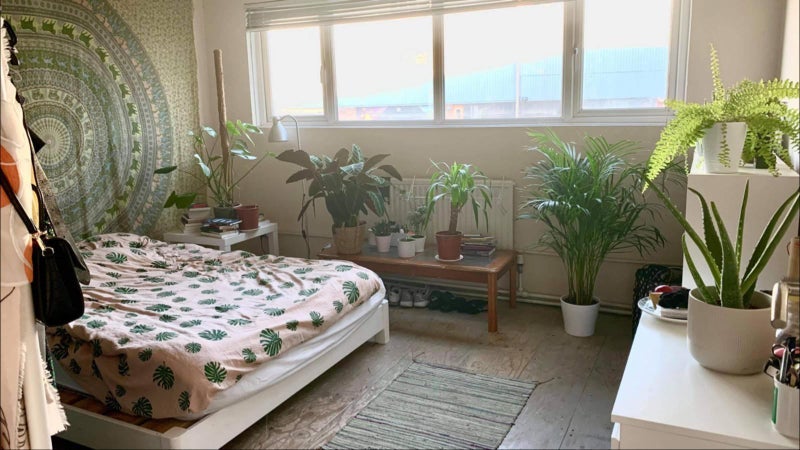 Room Eade Road in Greater London