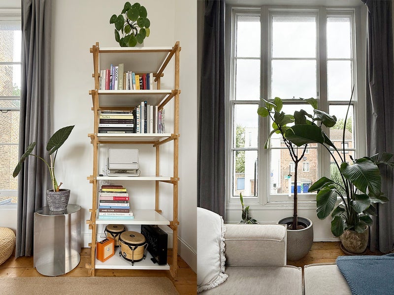 Room Albion Grove in Greater London