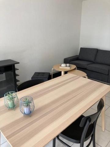 Flat Cheminement du Docteur Didier Dasque in Toulouse
