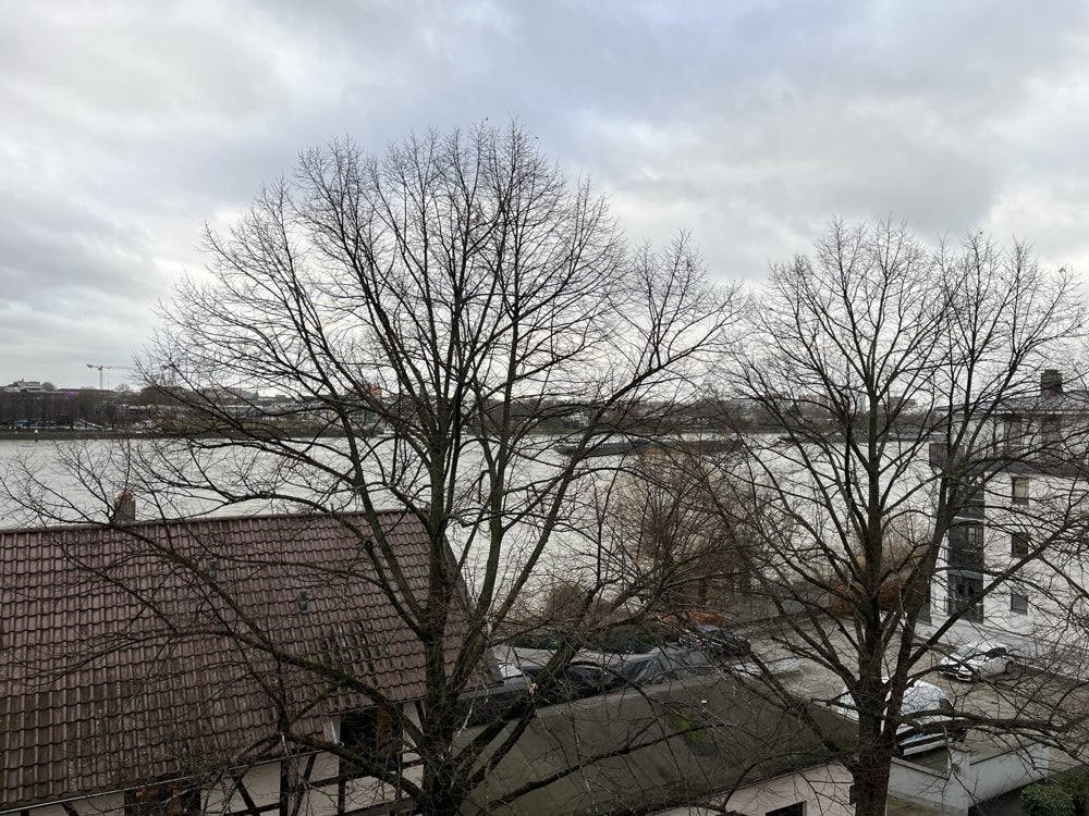 Wohnung Neustraße in Bonn