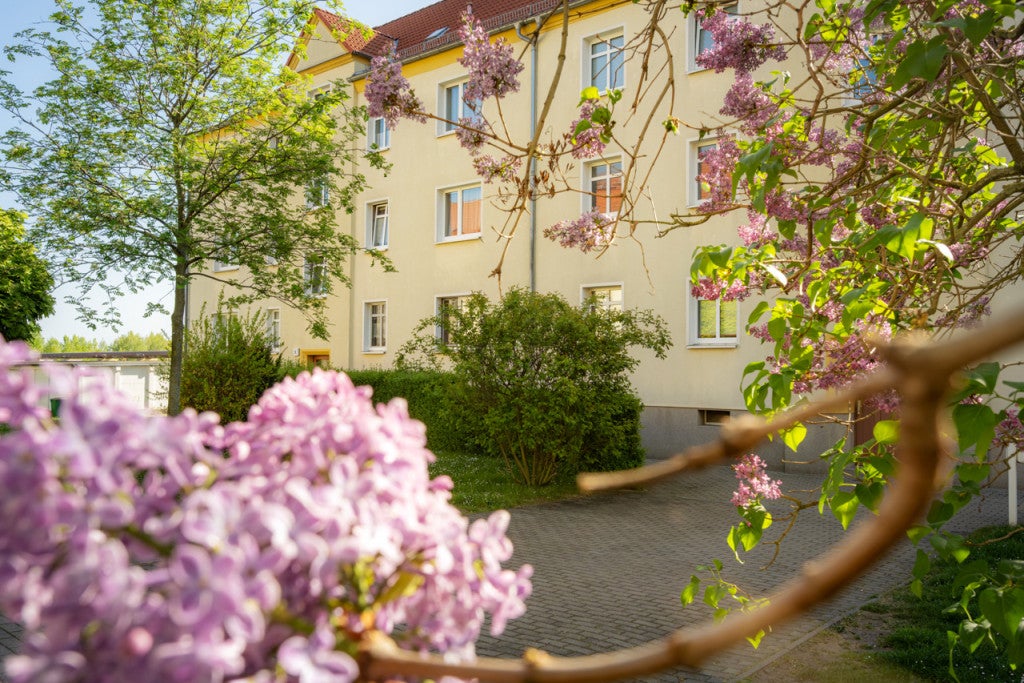 Wohnung Roßbachstraße in Halle (Saale)