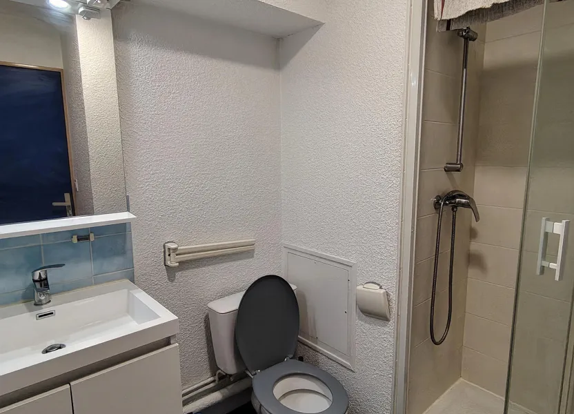 Flat Allée Aimée de la Rochefoucauld in Tours