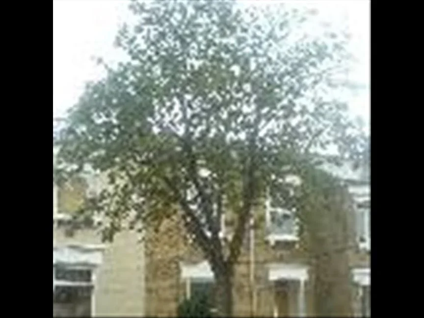 Room Wells House Road in Greater London