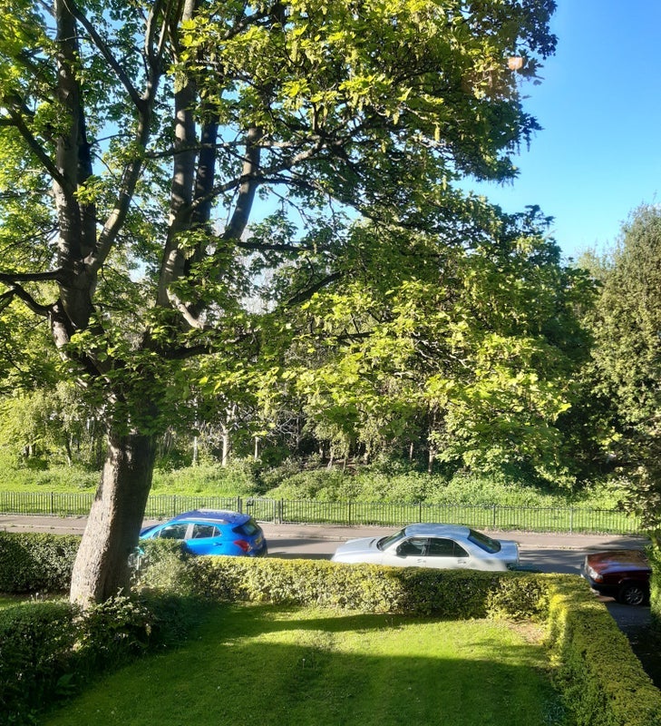 Room Loganlea Avenue in City of Edinburgh