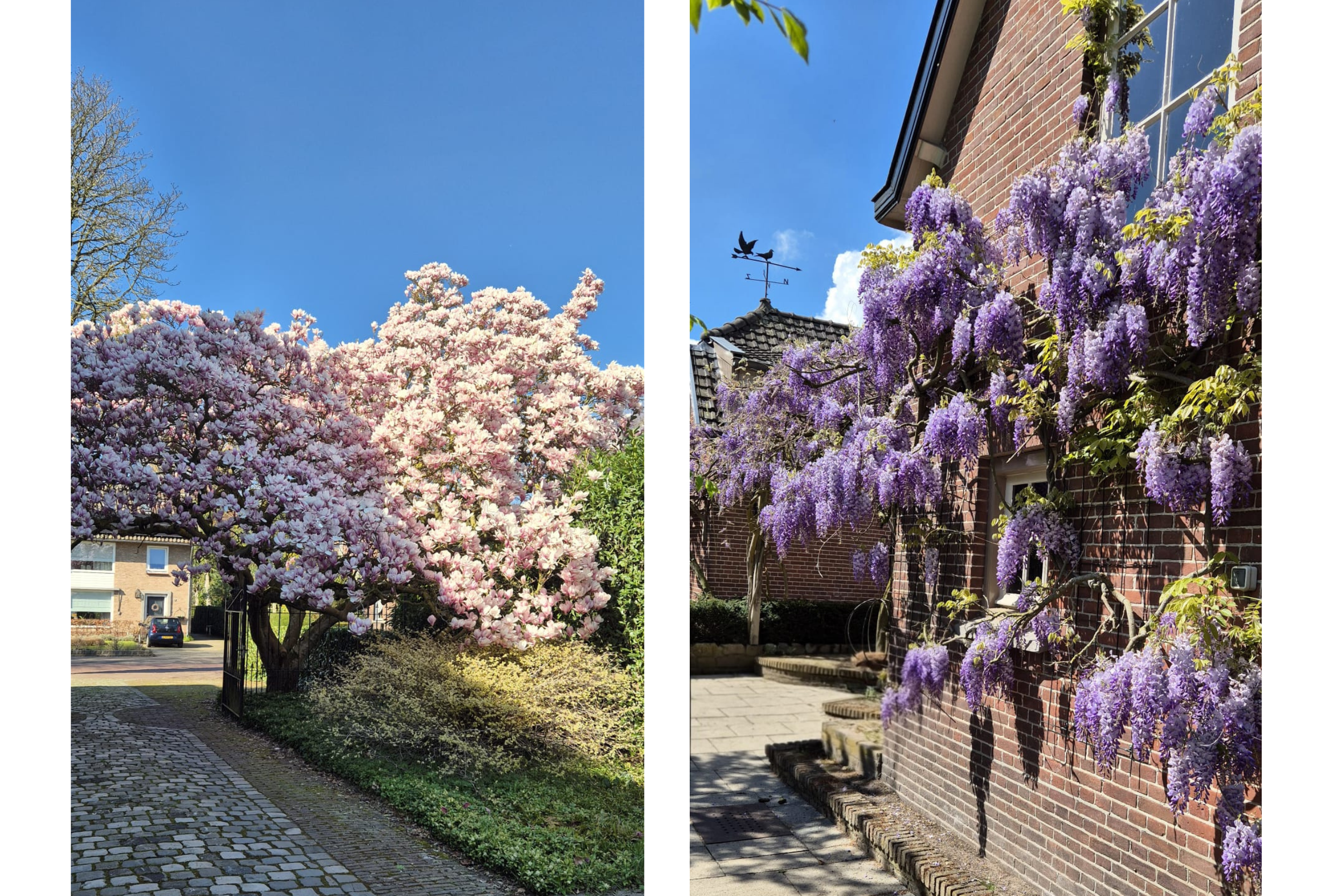 Vrijstaande woning te koop: Kastanjelaan 5, Helvoirt