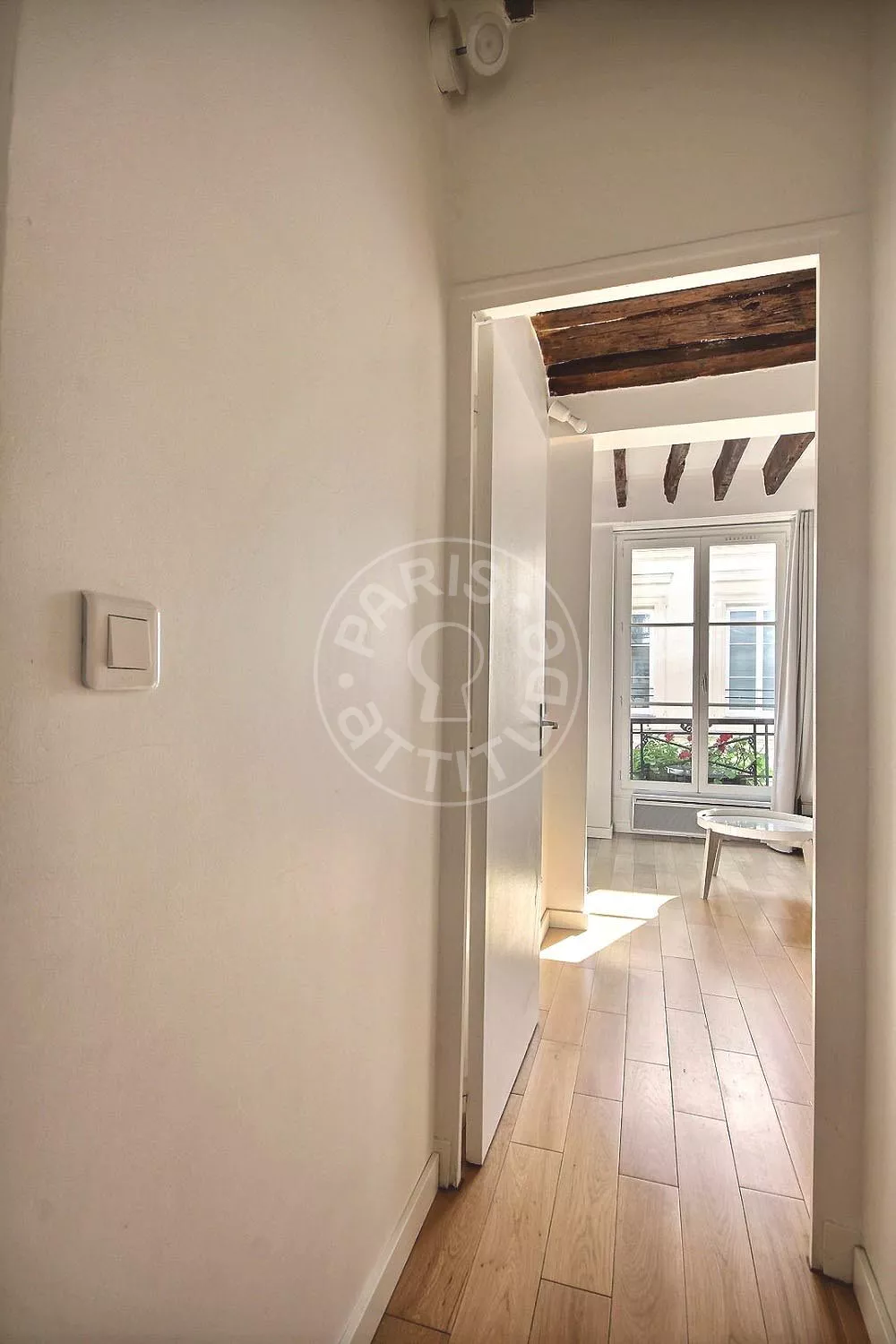 Flat Rue Monsieur le Prince in Paris